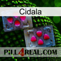 Cidala 15